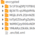 Setting up Dropbox and encryption in Linux